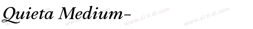 Quieta Medium字体转换